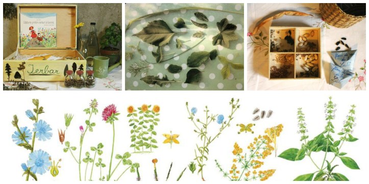 Calatorie printre ierburi si lumina 3 Collage