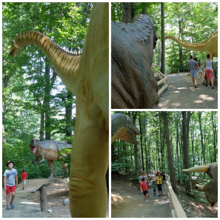 dino parc rasnov scenografieCollage