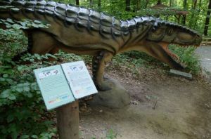 dino parc rasnov 4