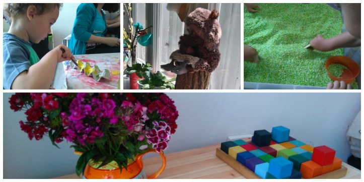 lumea lui momo fluturi si omizi Collage