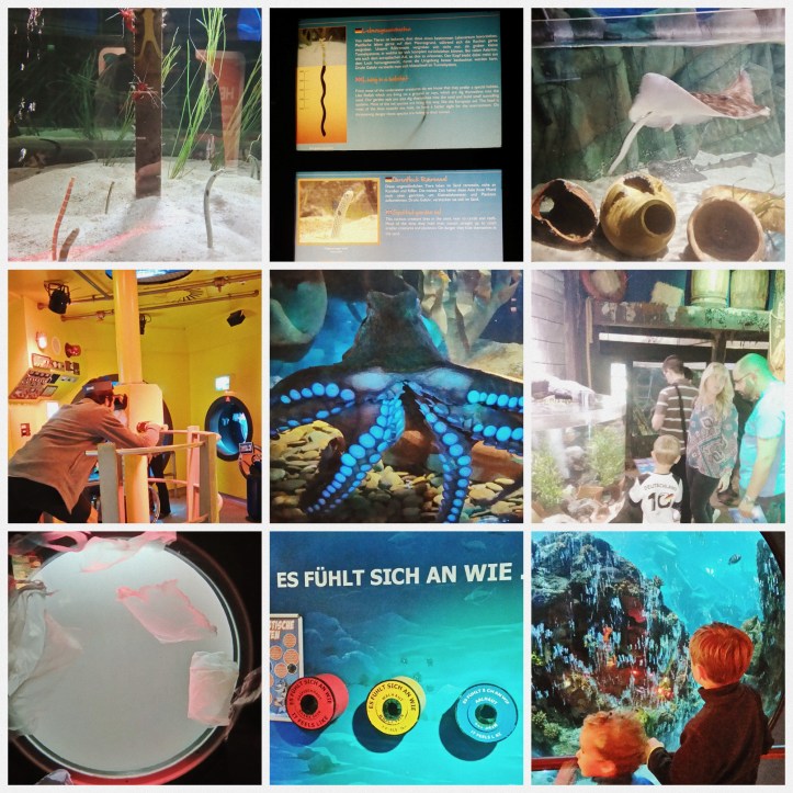 Sea Life Oberhausen  Collage