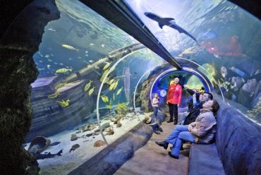 Sea_Life_Centre_-_Oberhausen_